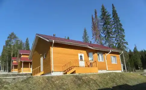 Аист - 29