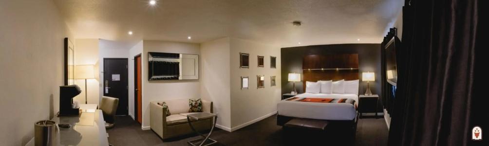 Coyote South - 29