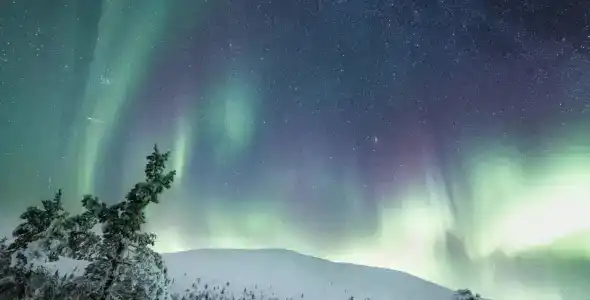 Laplands Sirkantähti - 41