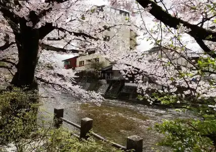 Ryokan Tanabe - 19