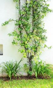 B&b Mondello Resort - 10