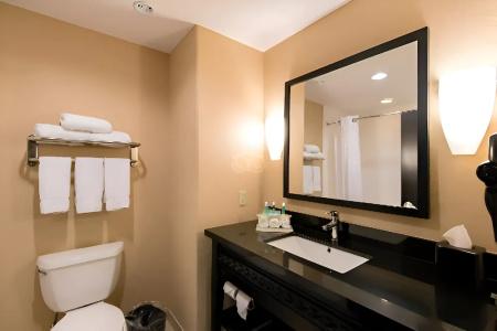 Comfort Inn & Suites Dallas Medical-Market Center - 34