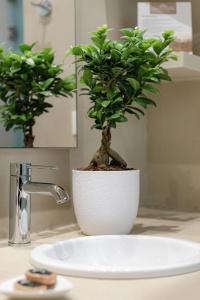 Casa Di Fiori Andros Suites - 93