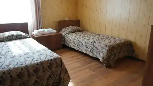 Аист - 2