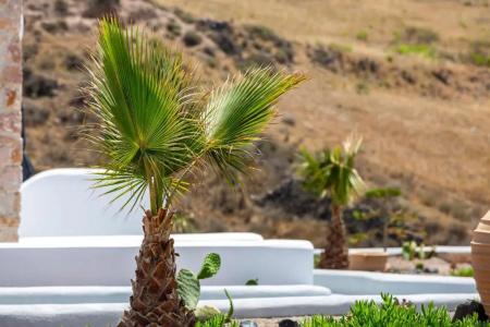 Desiterra Resort - 152