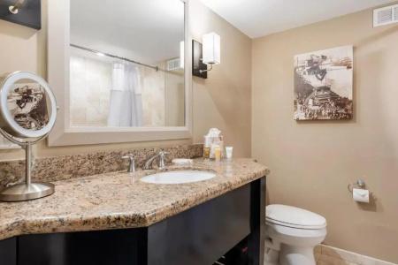 Crowne Plaza Orlando Downtown, An Ihg - 60
