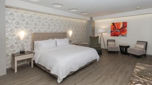 Holiday Inn Express Mexico- Toreo, An Ihg - 51