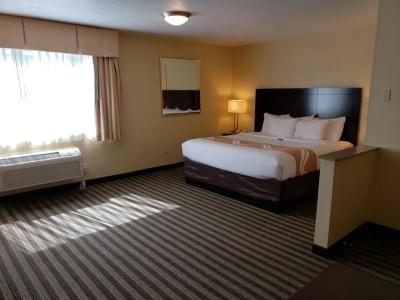 Quality Inn & Suites Vancouver - 66