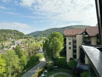 ParkLuise Bad Herrenalb - 26