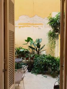 Shila Athens - 90