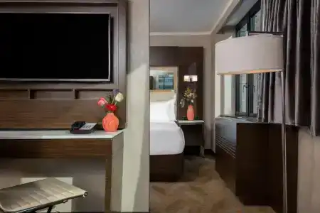 Holiday Inn Brooklyn Downtown, An Ihg - 79