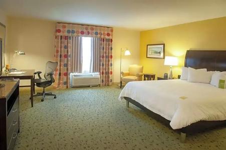 Hilton Garden Inn Airport/Medical Center - 60