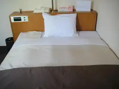 New Shizuoka - 5