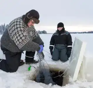 Arctic Fox Igloos - 10
