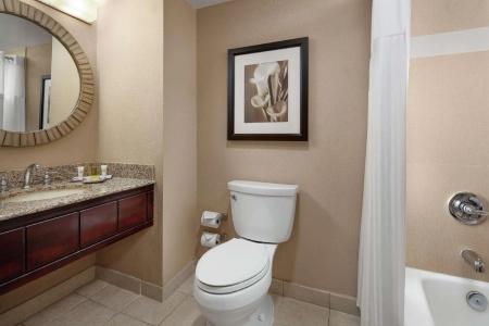 Hilton Orlando Lake Buena Vista - Disney Springs™ Area - 43
