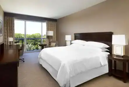 Sheraton Orlando North - 37