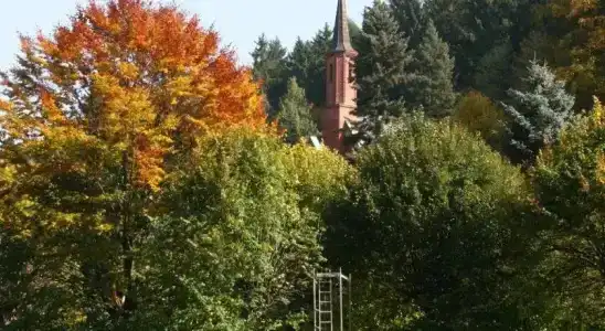 Sanatorium Uzdrowiskowe Chemik - 7