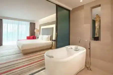 Novotel Nanjing East Suning - 43