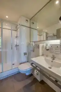 Best Western Plus hôTel De l'Arbois - 58