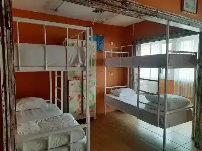 Bahaus Guesthouse Hostel - 16
