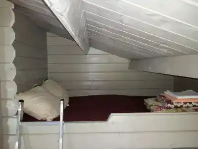 Медвежка - 0