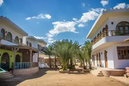 Shams & Dive Centre - 10