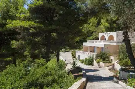 Alonissos Beach Bungalows And Suites - 59