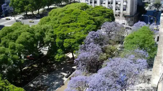 Htl 9 De Julio Bsas - 21