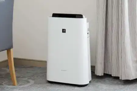 Sapporo Excel Tokyu - 3