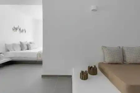 Eucalyptus - 46