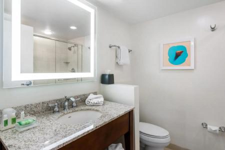 Holiday Inn Orlando – Disney Springs™ Area, An Ihg - 8