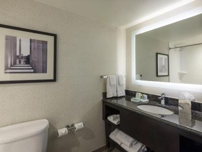 Holiday Inn Washington Capitol-National Mall, An Ihg - 8