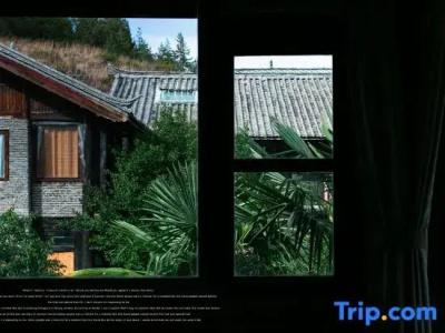 Adonis Inn - 33