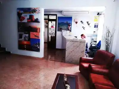 Horizonte - 8