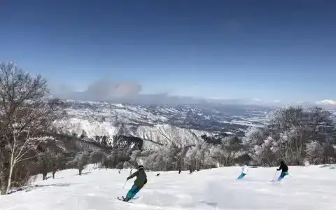 Address Nozawa - 22