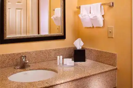Courtyard By Marriott Baton Rouge Acadian Centre/Lsu Area - 23