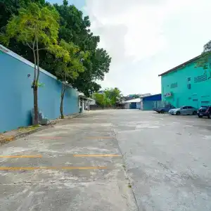 Mayfa - SHA extra plus - 13