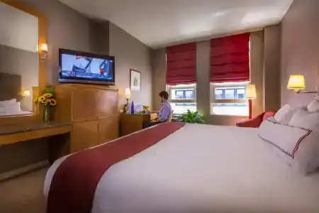 Giraffe by Library Hotel Collection - 45