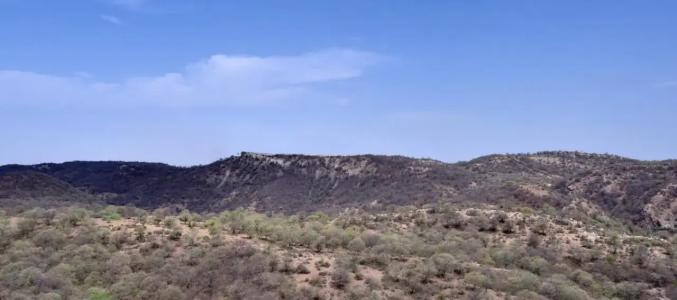 Four Points by Sheraton Jaipur, City Square - 12