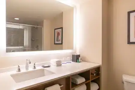 Sheraton Grand Chicago - 73