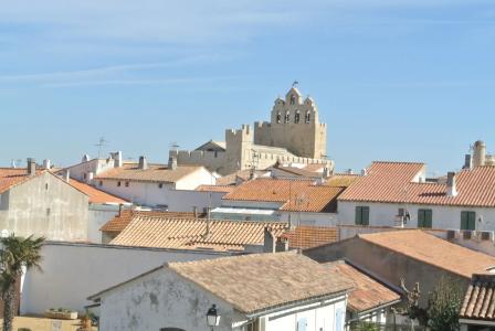 Les Palmiers En Camargue - 0