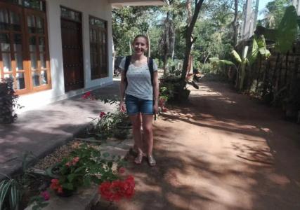 Turtle Paradise - 15