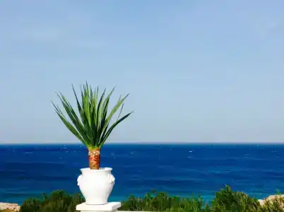 Playa del Mar - Adults Only - 14
