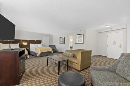 Wyndham Garden Norfolk Downtown - 93