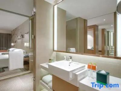 Holiday Inn Chengdu High-Tech Center, An Ihg - 69
