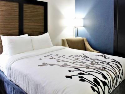 Sleep Inn - 31