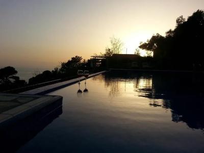 Olive Garden Kabak - 14