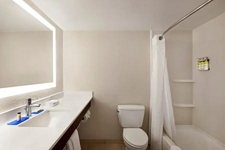 Holiday Inn Express & Suites Sarasota East, An Ihg - 50