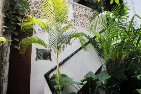 Malindi - 11