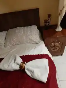 ALL IN HOSTEL - 3